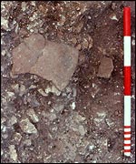 Sherd, PNAS/Bristol
