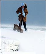 Dog walker in snow