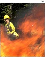 Fires in Arizona, AP