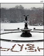 Naked protesters in New York