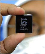 Close-up of computer chips