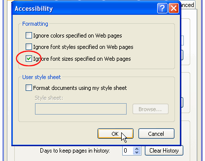 Select 'Ignore font sizes specified on Web pages'
