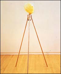 I Need an Axe to Break the Ice, by Mark Quinn, 1992