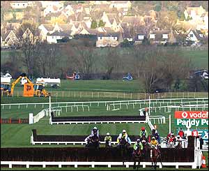 The Cheltenham course is bathed in warm spring sunshine 