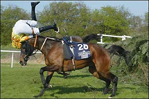 Jockey Timmy Murphy parts company with mount Torduff Express