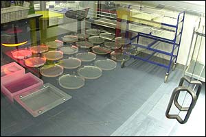 Colony picking robot, Wellcome Trust Sanger Institute