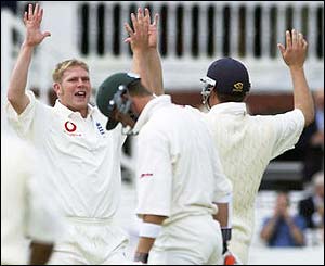 Matthew Hoggard celebrates taking the wicket of Sean Ervine 