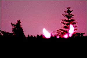 Pic: Michael Rappengl�ck