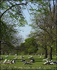 Sunbathers in Hyde Park, London