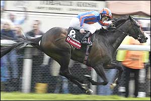 Johnny Murtagh on High Chaparral