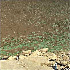 View of the dried up Himayat Sagar lake in Hyderabad, capital of Andhra Pradesh