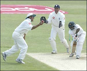 Ashley Giles celebrates taking the wicket of Tatenda Taibu
