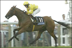 Kieren Fallon rides Mr Dinos to victory in The Gold Cup