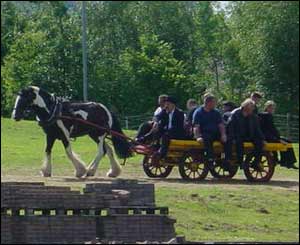 Following the funeral the bearers were carried back on the horse-drawn dray