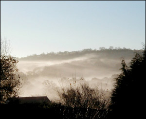A misty view from Richard Cosgrave's window