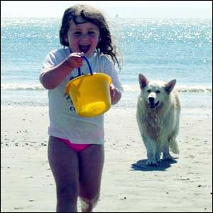 Photo by Bob Holloway