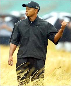 Tiger Woods searches in the rough for his ball