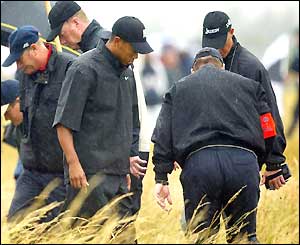 Tiger Woods searches for his ball in the rough