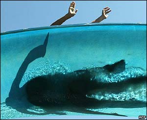 Children use a transparent water slide in Unna, northern Germany