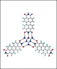 Image used with permission of Nature