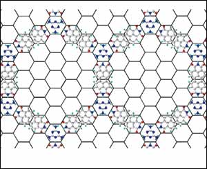 Image used with permission of Nature