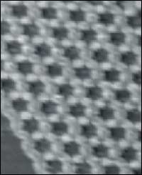 Image used with permission of Nature