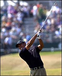 Tiger in action on the fairway at Sandwich