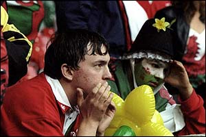 Welsh fans