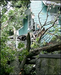 Tree lying against a Cleveland Park house