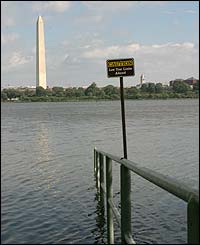Flooding along the Tidal Basin, with the Washington Monument in the background