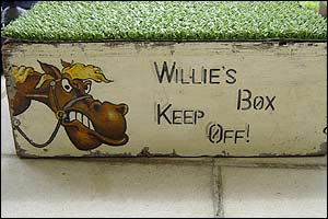 Willie's box