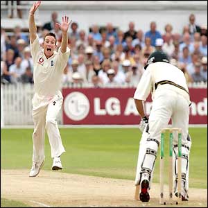 James Kirtley appeals as Boeta Dippenaar is trapped lbw