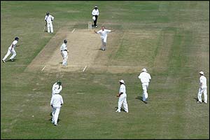 Martin Saggers celebrates the wicket of Javed Omar