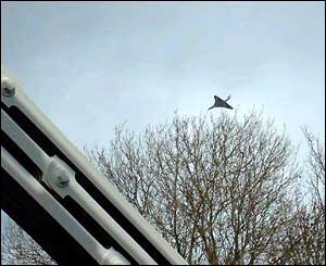 Concorde seen from the Clifton Suspension Bridge in Bristol, as photographed by a BBCi user