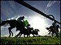 Horse racing at Doncaster