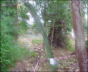 This whale bone was one of two presented to David Griffith Davies of Castle Green around 1872. They were a gift from Captain Ellis and imported from Canada