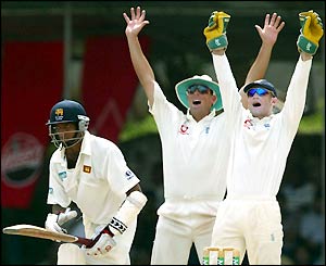 England's Marucs Trescothick and Chris Read appeal for the wicket of Kumara Dharmasena
