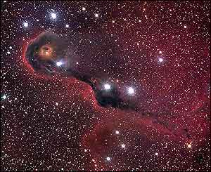 IC 1396 - NASA/JPL-Caltech