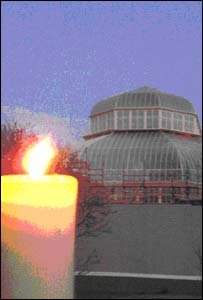 The National Botanic Gardens, Glasnevin in Dublin