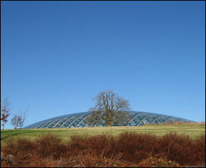 James Prout took this shot on a bright winter's day at the National Botanic Gardens in Carmarthenshire