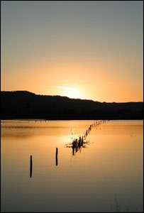 This sunset over Dinefwr Park, Llandeilo, Carmarthenshire, was captured by Stephen Thomas