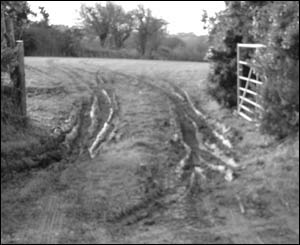 A gate in a muddy field near Nefyn, north Wales, sent in by Llinos