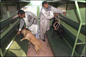 Security officials and explosives sniffer dog