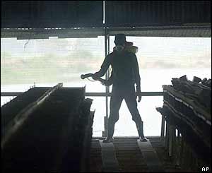 Disinfecting a farm in Thailand