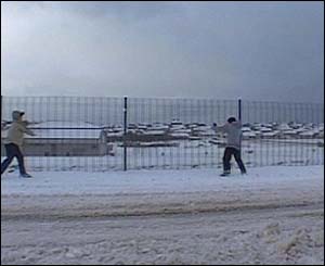 Children playing in the snow