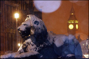 A dusting of snow covers one of the lions in Trafalgar Square, London