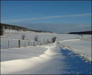 Colin Benson took this photo of Strathdon while out for a stroll