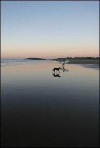 Liz Howell took this picture of Llangenith beach evening surfing, with her dog Sophie.