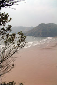 Images like this one of Caswell Bay make Gareth Perry, now in London, feel homesick