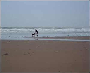 Will Marchbank took this picture on Southerndown beach in south Wales 